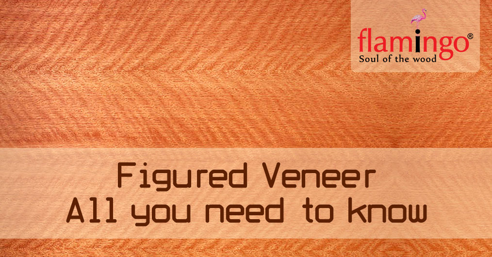 figured veneer - all you need to know